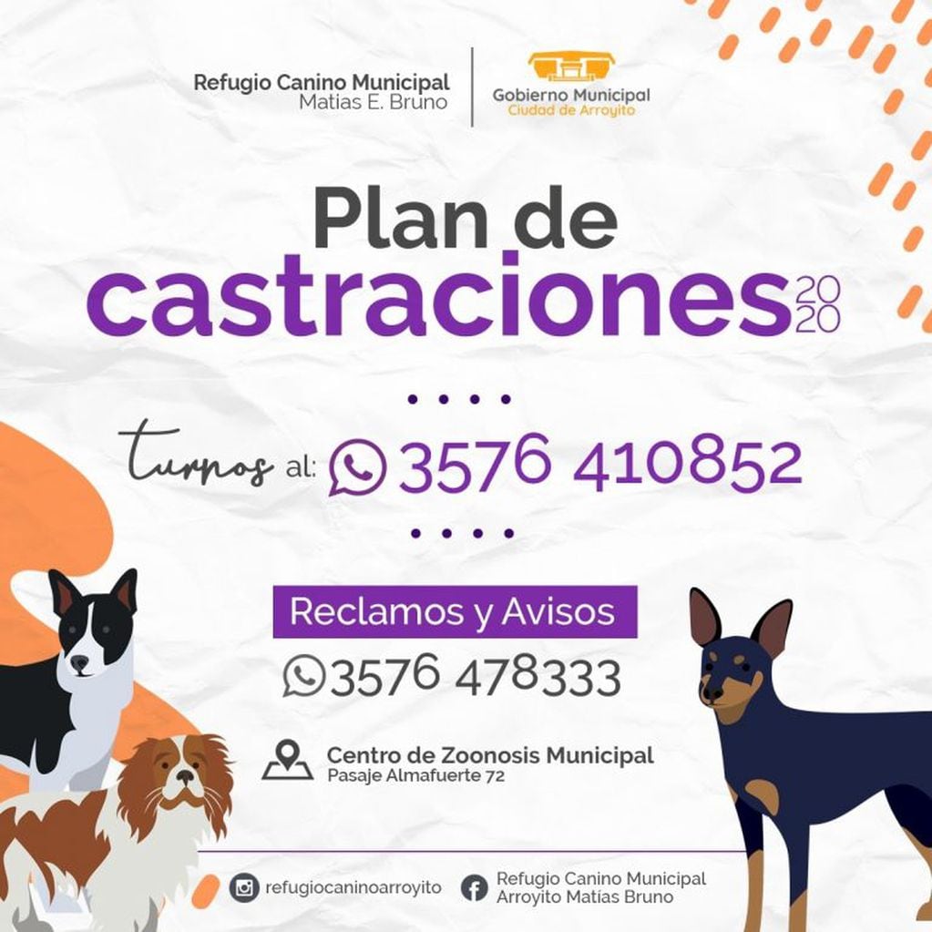 Plan Castraciones Municipal de Arroyito