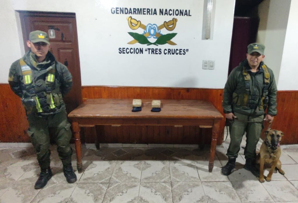 El can detector de narcóticos "Canela" trabajó junto a los efectivos de la Sección "Tres Cruces" del Escuadrón 21 "La Quiaca" en el operativo concretado en Humahuaca.