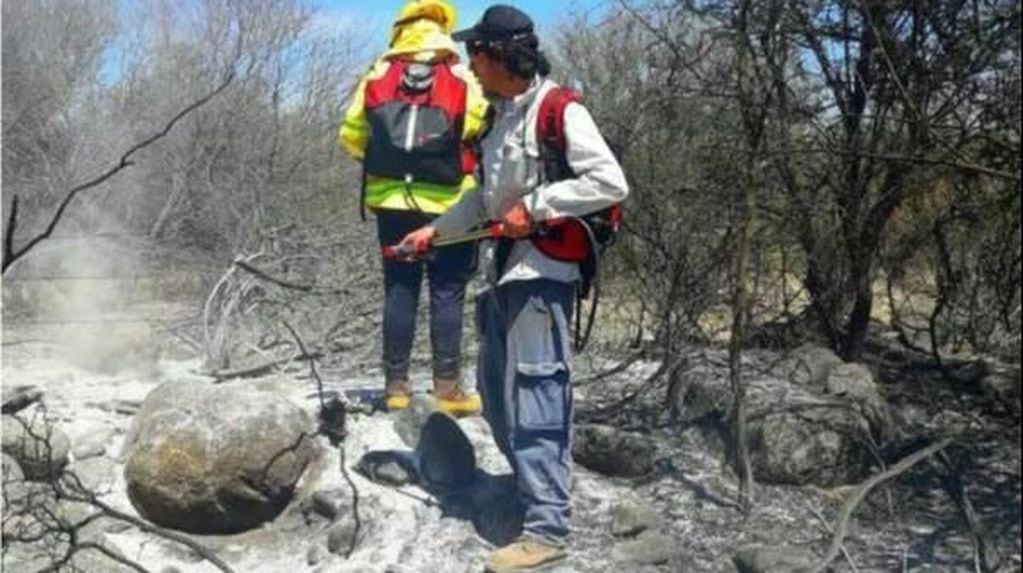 Los incendios fueron en las sierras de Elizondo y Chávez. Las llamas consumieron más de 10.000 hectáreas de vegetación.