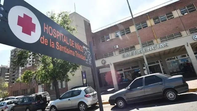 Córdoba: una jauría atacó a una nena en un cumpleaños y le amputaron un brazo