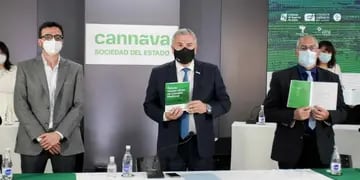guía de manejo clínico de cannabis medicinal, en Jujuy