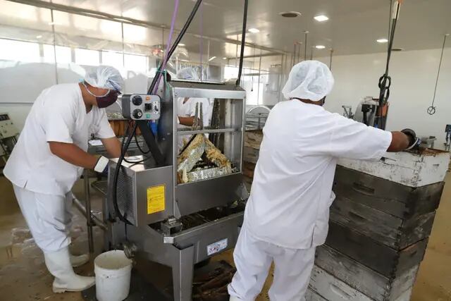 La sala de extracción de miel en San Rafael proceso unos 50.000 kilos