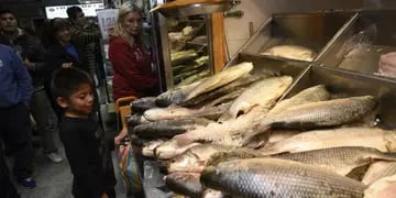 Carne blanca. En el Mercado Norte, la opción del pescado en esta Semana Santa viene “saladita”. (Ramiro Pereyra)
