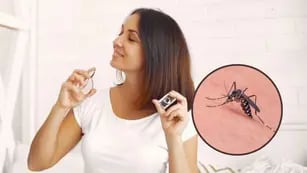 No te lo pongas: este perfume hará que los mosquitos te piquen más