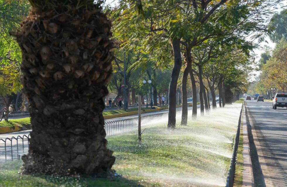 En la semana del inicio de primavera, la temperatura irá en aumento en Córdoba (Foto: Municipalidad de Córdoba).