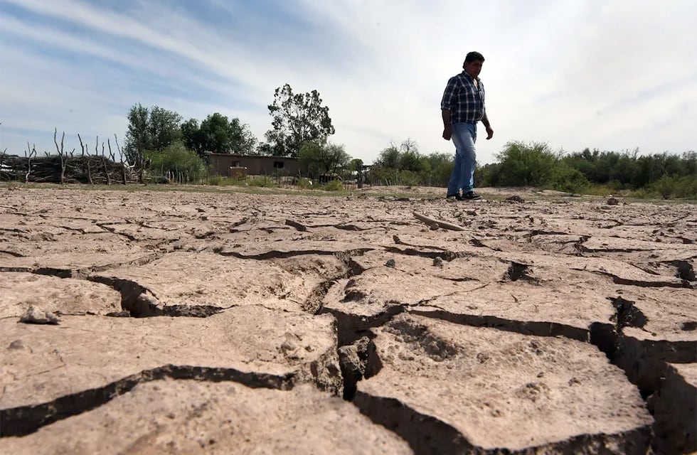 La sequía en el campo, un problema que perdura en nuestro país.