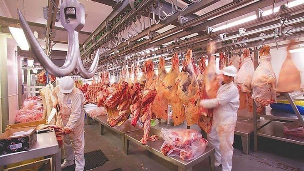 Frigorífico y la exportación de carne