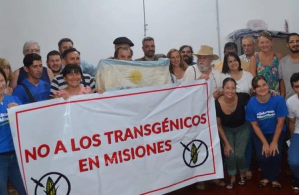 Agricultores de Misiones no quieren la siembra de maíz transgénico. (MOL)