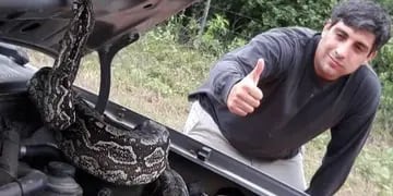 Un intendente salteño encontró una serpiente bajo el capó de su auto