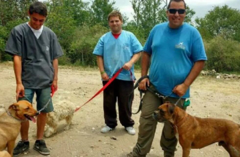 Perros rescatados entrenados para ser adoptados.
