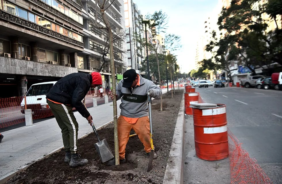 Comenzó la plantación de árboles en el tramo nuevo del bulevar Chacabuco.