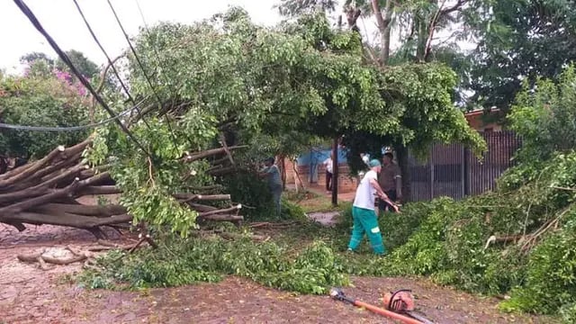 Organizan una “Cruzada Solidaria” para ayudar a familias afectadas por el temporal en Eldorado