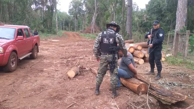 Eldorado: robó madera de una propiedad privada y fue detenido