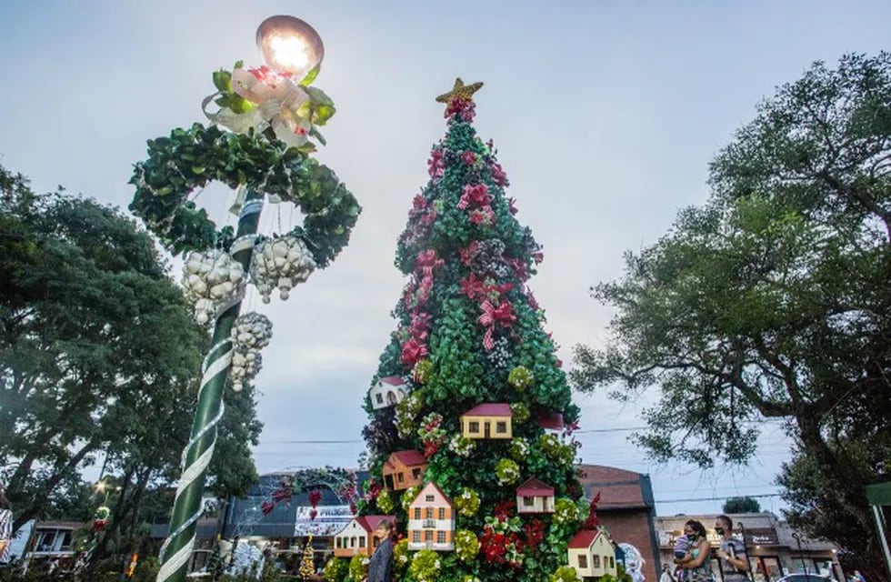 Comenzó la Fiesta de la Navidad con el tradicional encendido de las luces del árbol en Capioví