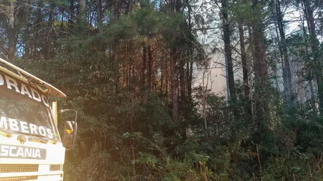 Controlan foco de incendio en un pinar en Eldorado