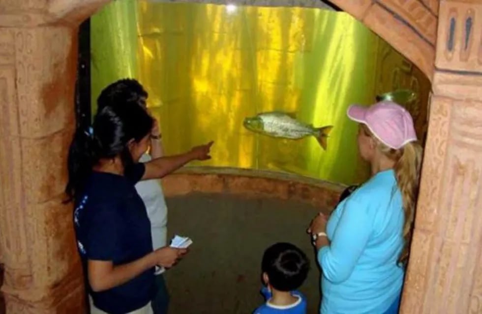 El Aquarium de Montecarlo llevaba 14 años de trabajo.