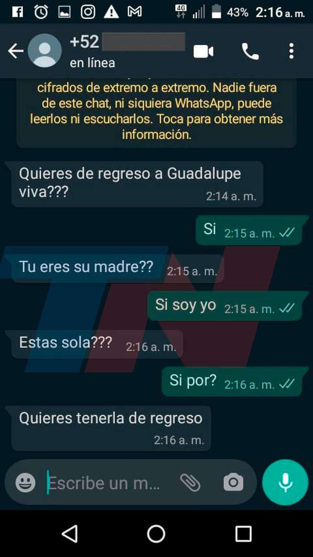 Los mensajes que recibió la mamá de Guadalupe Lucero. 