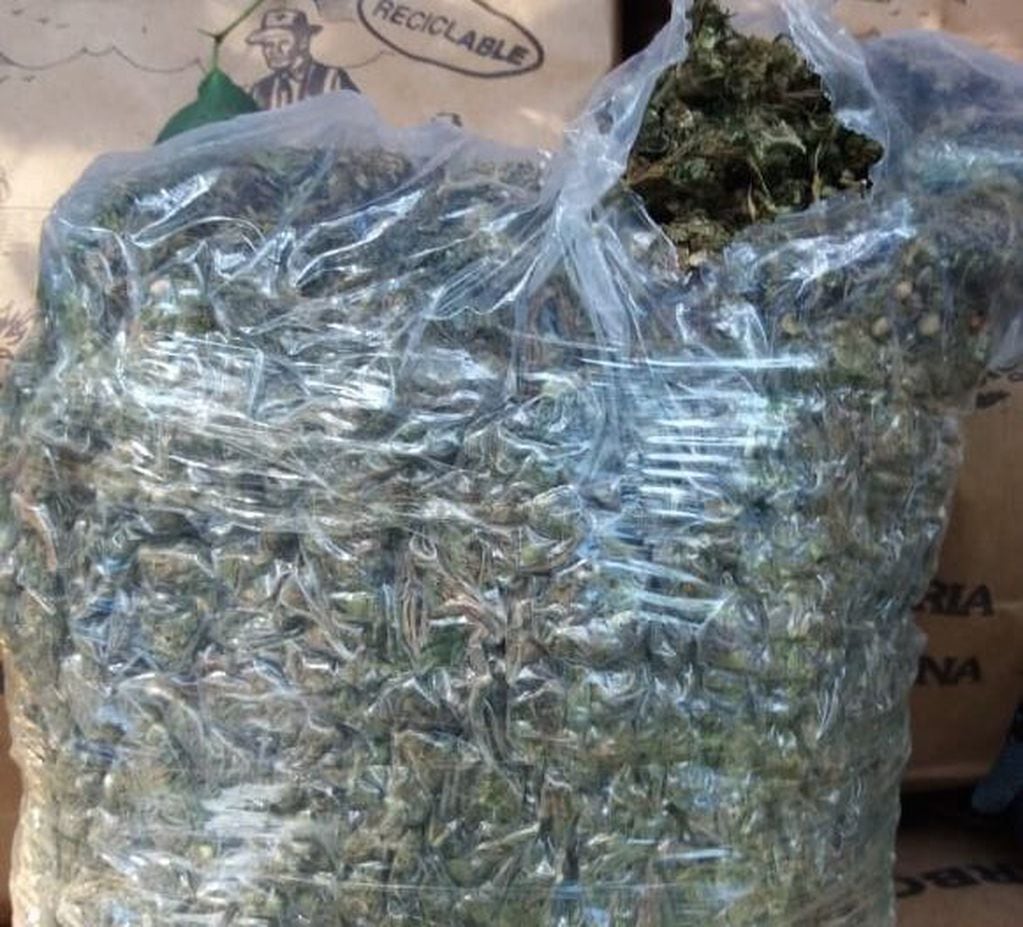 Golpe al narcotráfico en Caraguatay: Gendarmería decomisó 216 kilogramos de marihuana