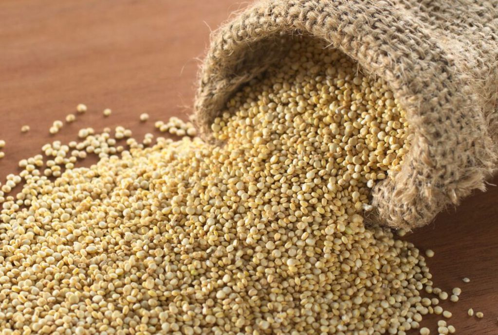 La quinoa, cada vez más posicionada como un super alimento.