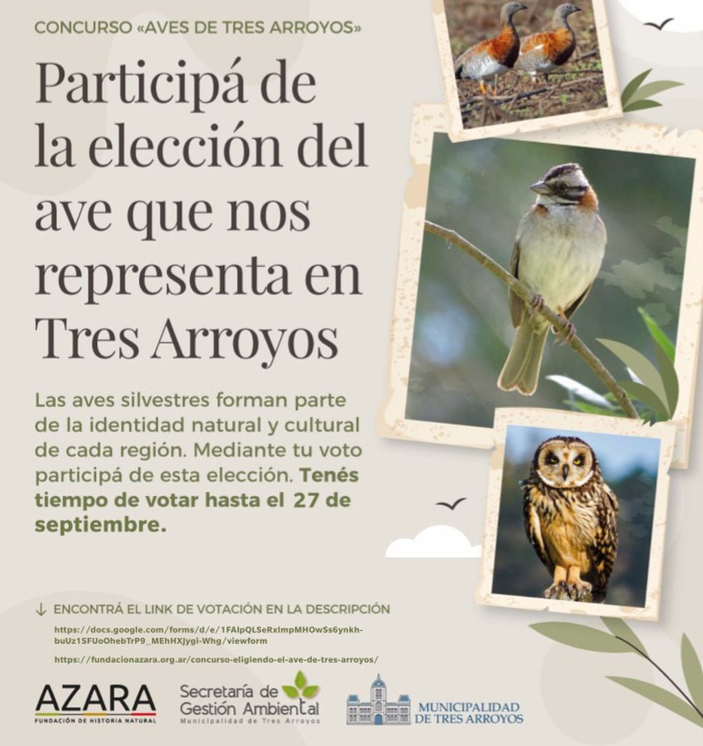 Concurso “Aves de Tres Arroyos”