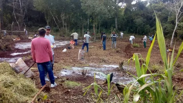Puerto Libertad: integrantes de la Aldea Yryapú tuvieron capacitaciones en agrofloresta
