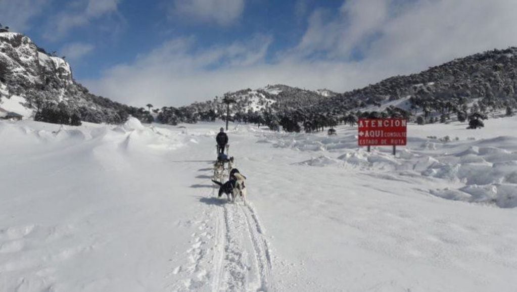 El hombre buscará este martes llegar a destino a pesar de las malas condiciones climática (LMNeuquén)