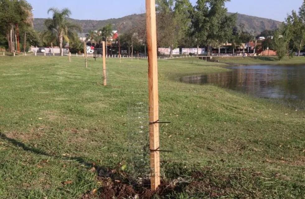 Se plantaron 4050 árboles nativos en la Costanera de Carlos Paz