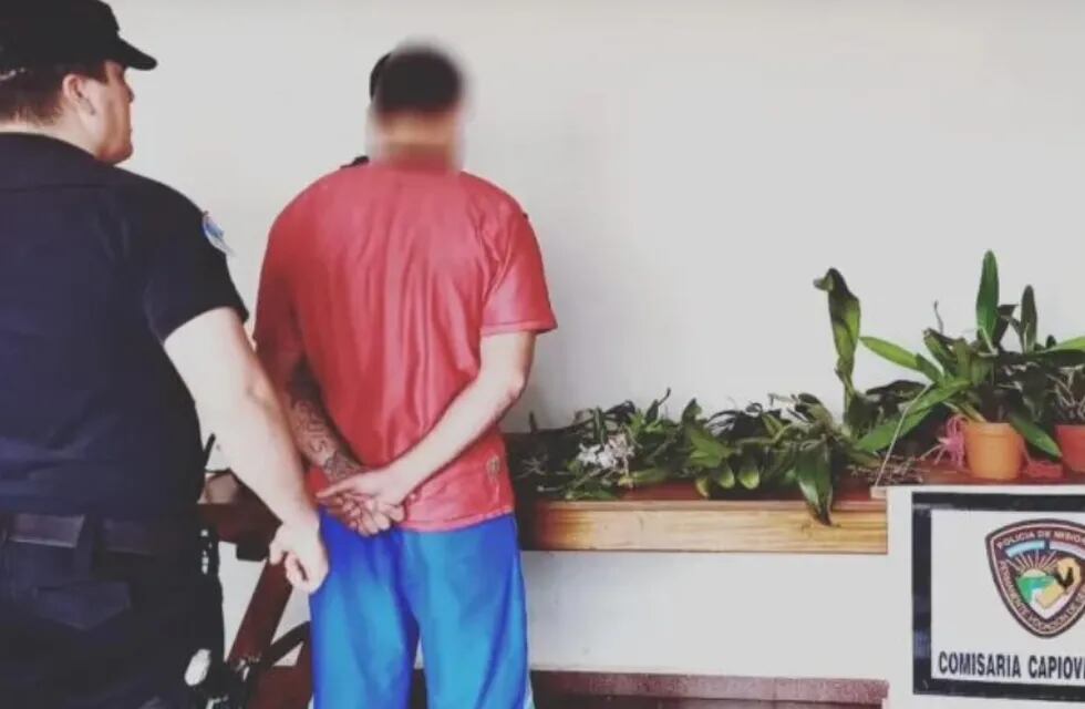 Puerto Rico: descubrió al ladrón de sus orquídeas mediante las redes sociales.
