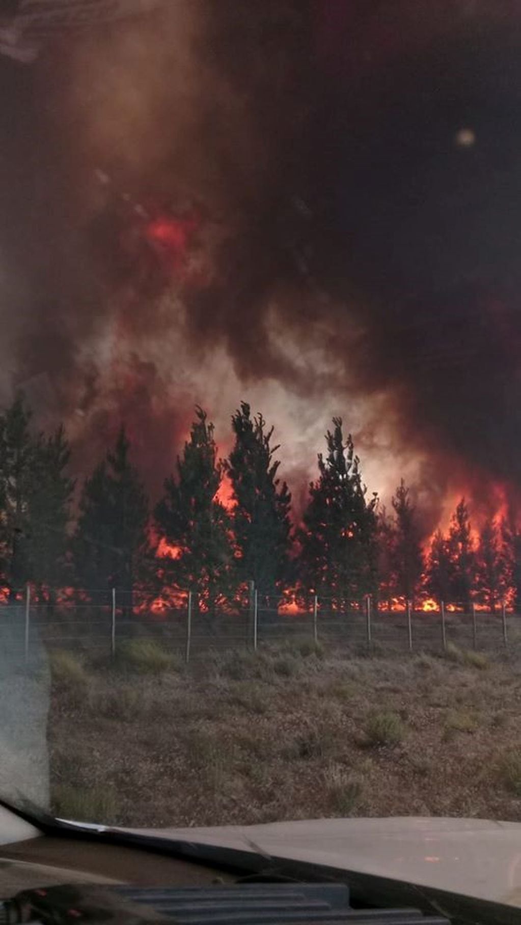 Incendio en Corfone, Neuquén (web).