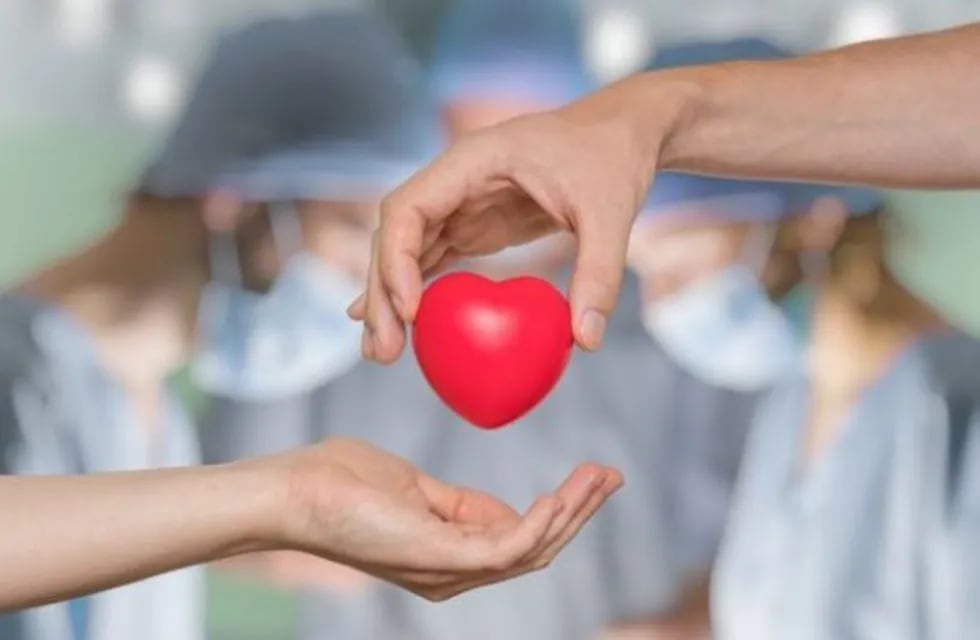 Día Nacional de la Donación de Órganos: el Garrahan lleva realizados más de 2800 trasplantes.
