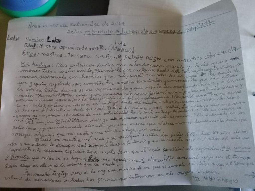 Una abuela internada escribió una conmovedora carta pidiendo que adopten a su mascota