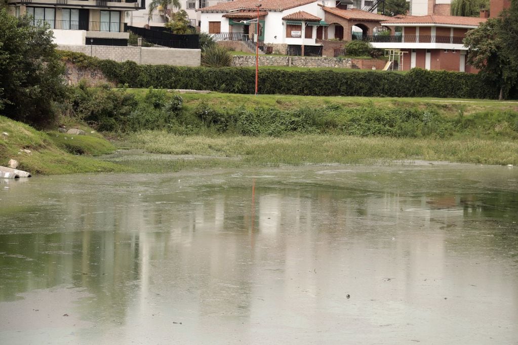 El Municipio de Villa Carlos Paz le exigió al Gobierno Provincial que se extraigan de manera urgente las cianobacterias y ejecute un protocolo de acción sobre el lago San Roque