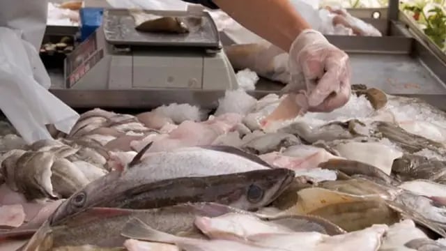 Semana Santa en Posadas: controlarán la venta de pescado para evitar enfermedades