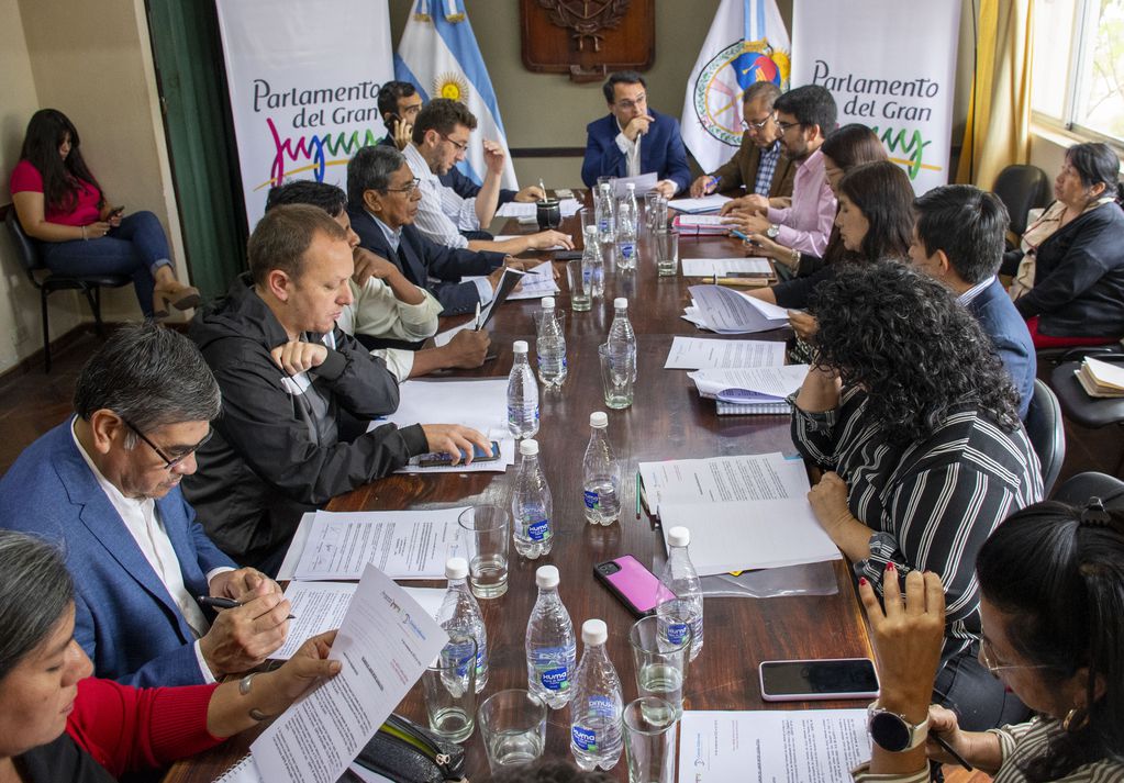 El concejal Lisandro Aguiar (al centro) encabezó el encuentro en la sala de reuniones del Deliberante capitalino.