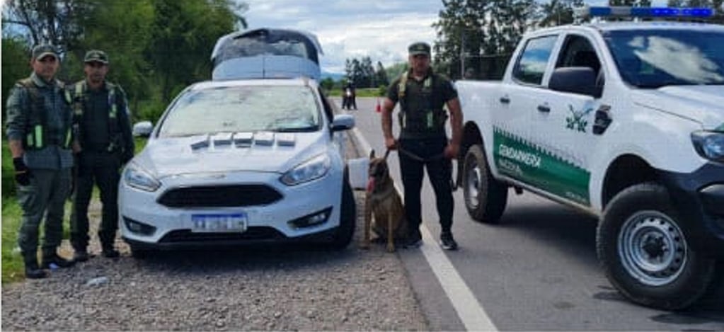 El can detector de narcóticos “Yin” alertó a los gendarmes de la posible presencia de estupefaciente, marcando el asiento donde estaban sentados los menores.
