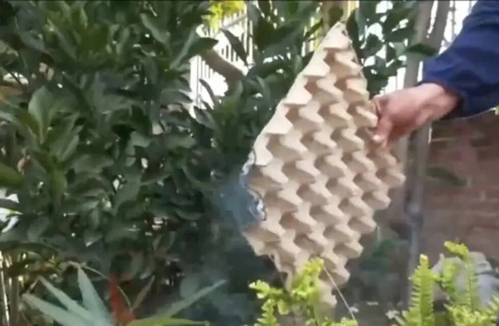 Un hombre quemó maples de huevo para “ahuyentar” a los mosquitos y generó preocupación en los vecinos de Puerto Iguazú