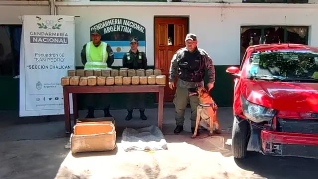 Desarticulan narcotráfico en Jujuy