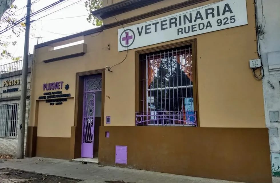 Violento asalto a una veterinaria de de Rueda al 900