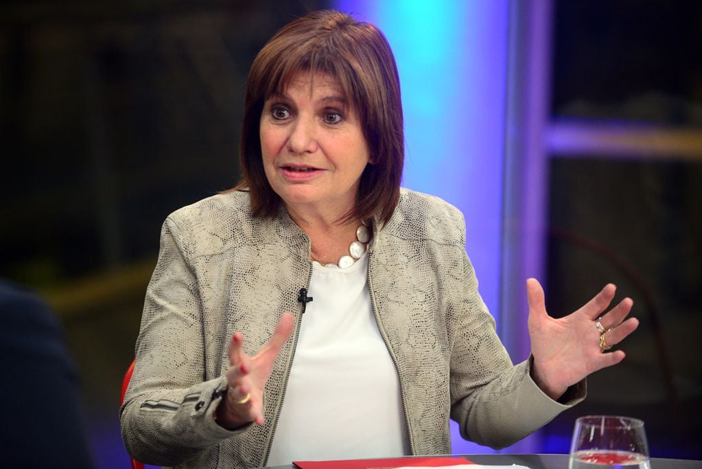 Patricia Bullrich, presidenta del Pro.  (José Gabriel Hernández)