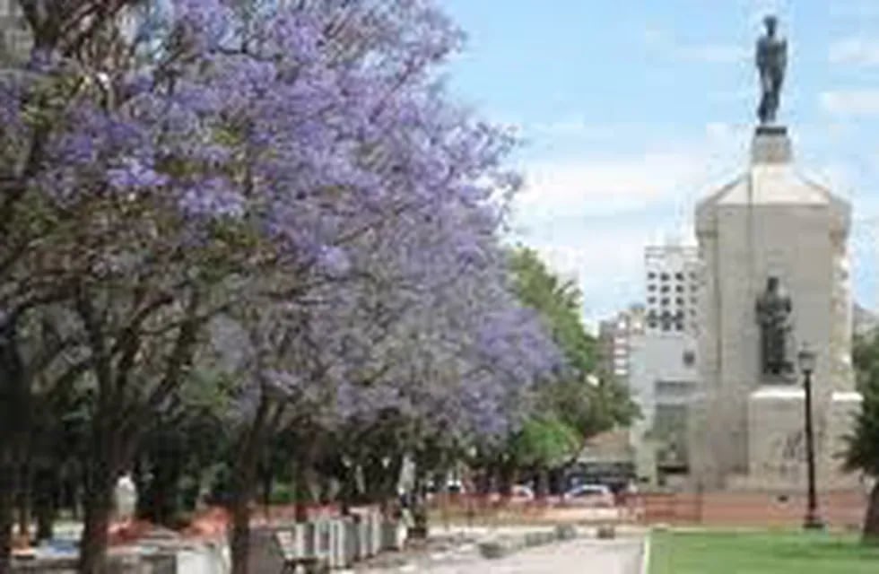 Arbolado urbano Bahía Blanca