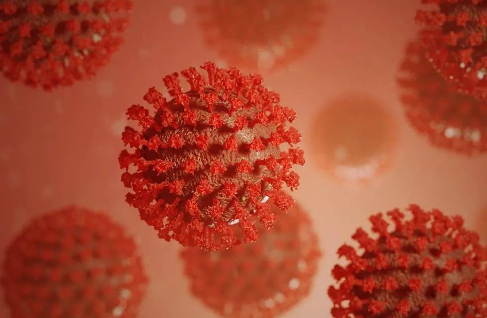 Ómicron, una nueva variante del coronavirus. (Foto: Gentileza/Clarín)