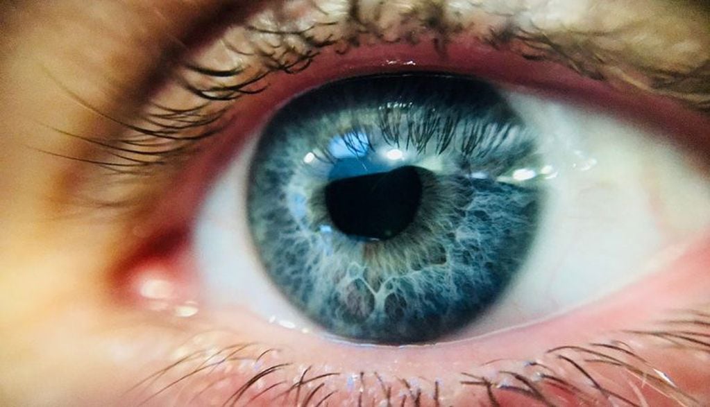 En términos médicos, los latidos de ojo se denominan mioquimia.
