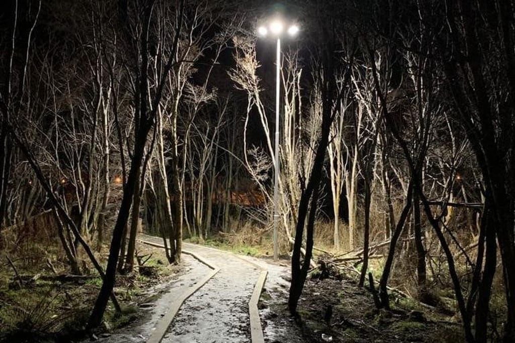 Nuevas luminarias en el camino que conecta el Parque Recreativo "Hernán Schulz" y el Playón deportivo Ushuaia