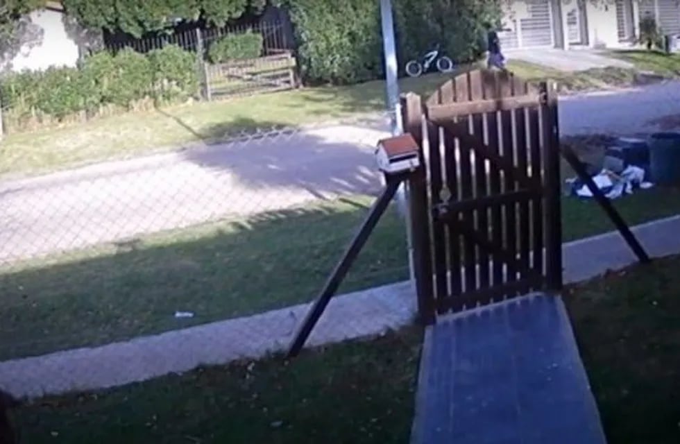 El recolector de residuos que robó la bicicleta de un niño la devolvió (Imagen: Captura de video)