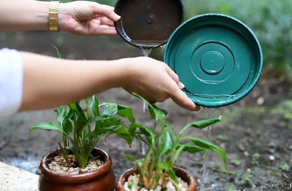 Sugieren limpiar los patios tras las lluvias, para evitar casos de dengue