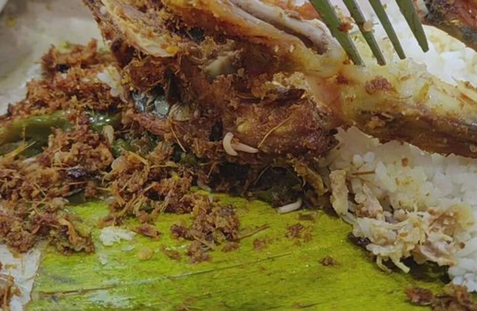 Asqueroso hallazgo: un hombre encontró gusanos dentro del pollo que estaba cenando