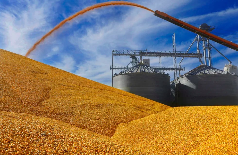 El Gobierno contempla medidas económicas para ayudar la liquidación de granos del campo.