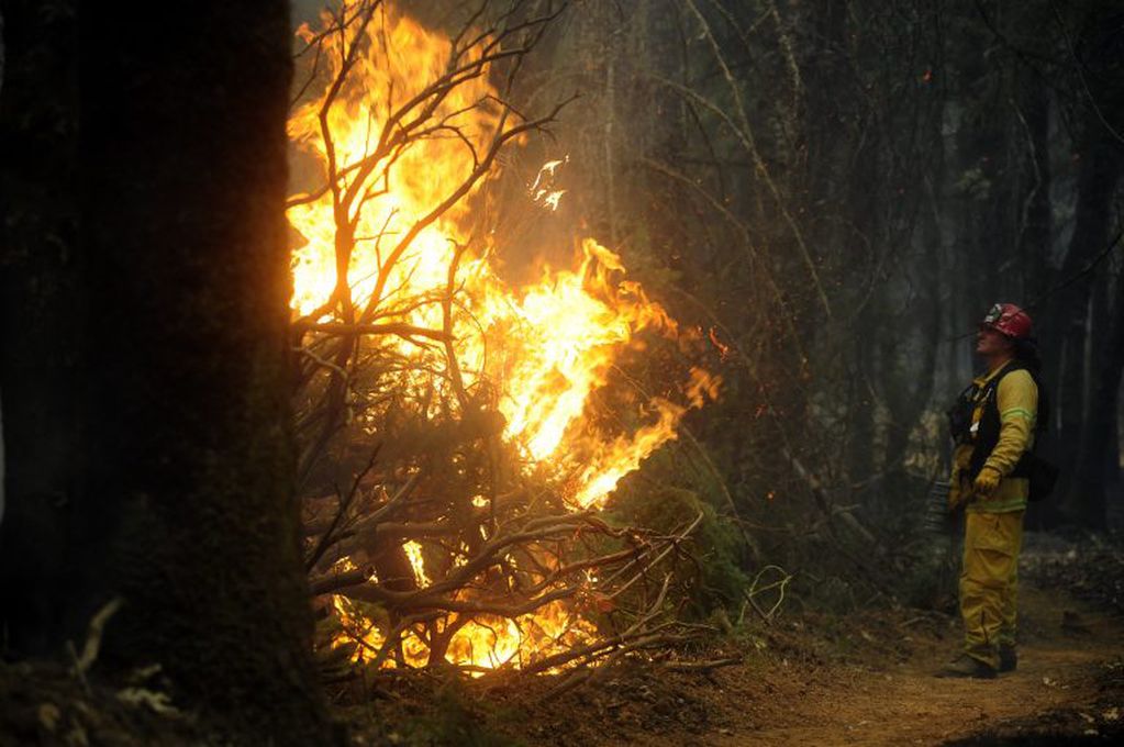 Un bombero observa las llamas de un incendio forestal en California (crédito: Neal Waters).
