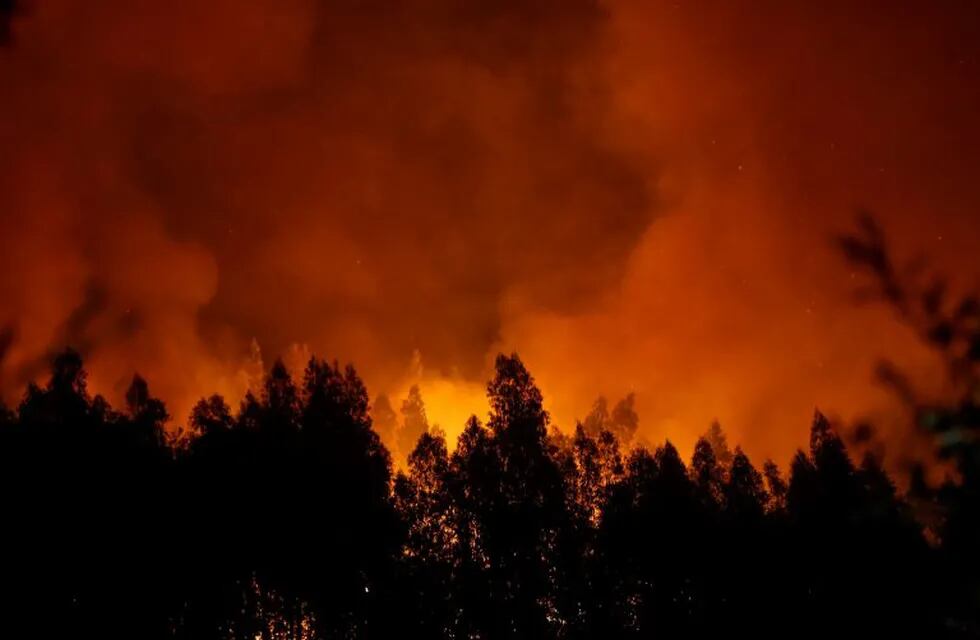 Incendios en Portugal. Foto: REUTER.