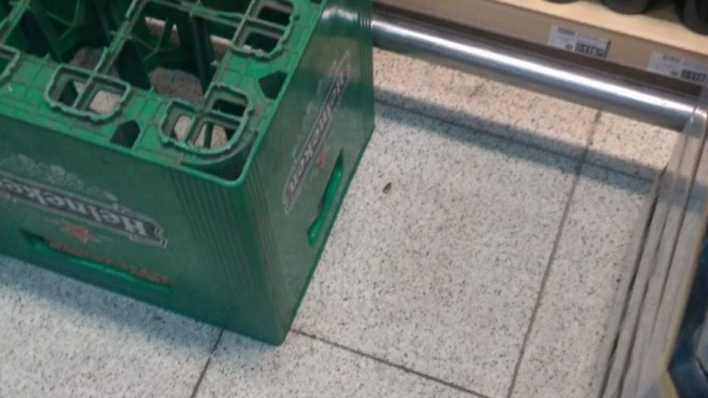 Escracharon en La Plata a un supermercado por tener cucarachas en las góndolas